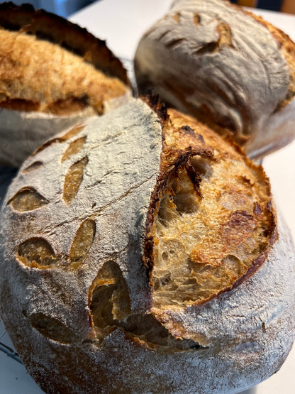 Sourdough - Plain