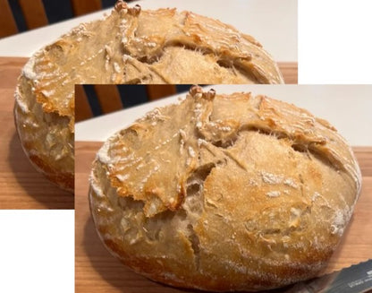 Sourdough - Plain